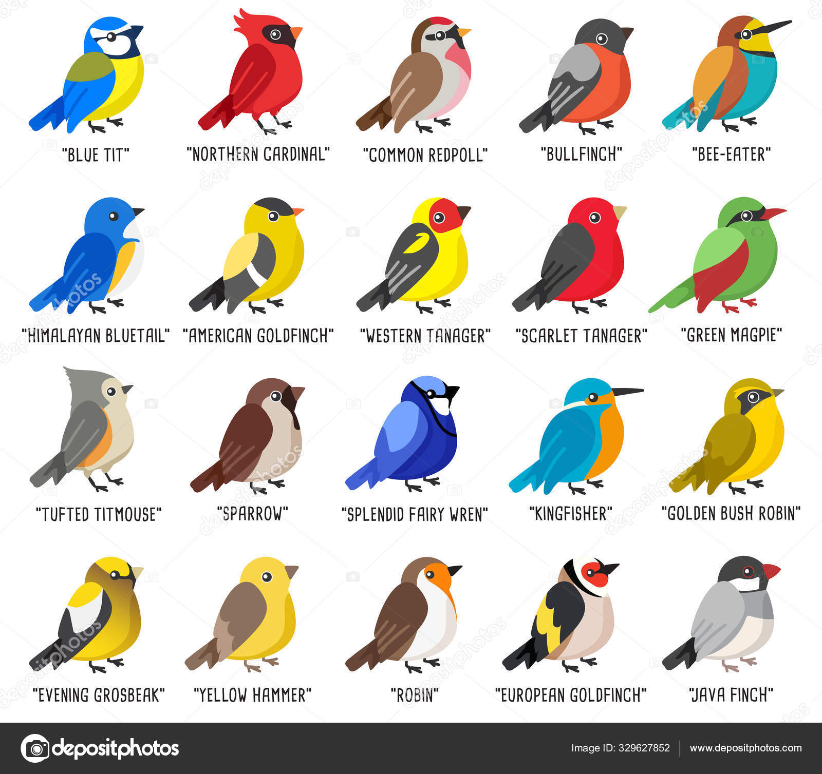 all birds types
