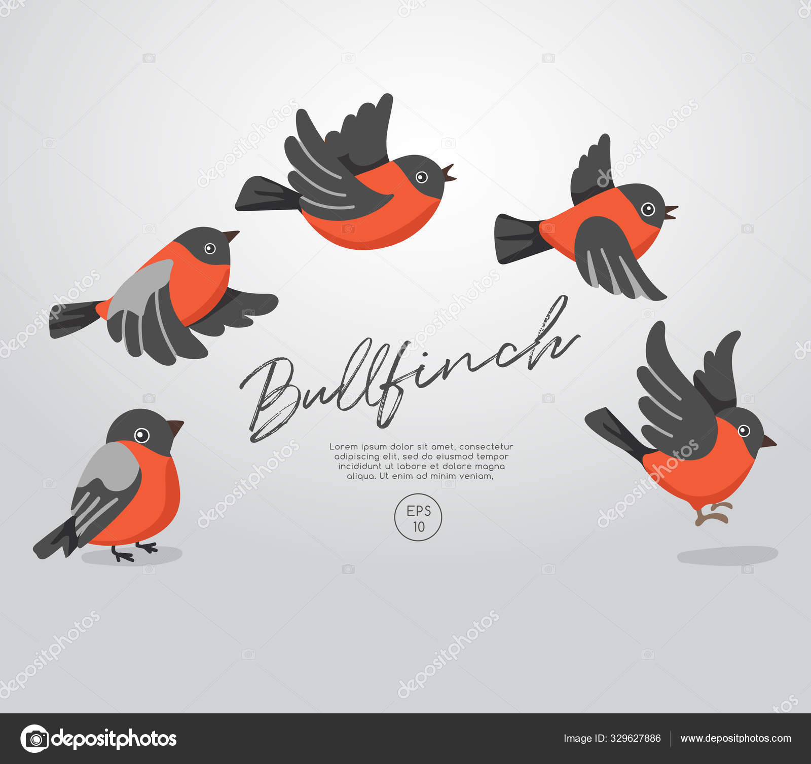 Bird flying animation Vector Art Stock Images | Depositphotos