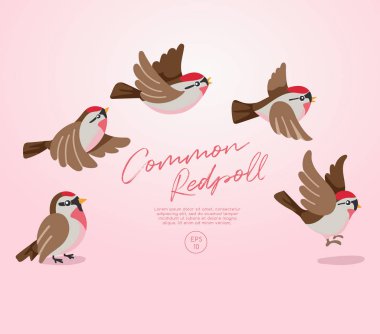 Flying birds collection isolated on pastel background : Vector Illustration clipart