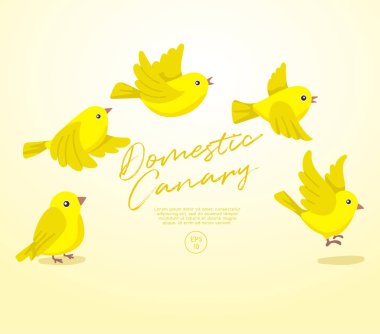 Uçan kuş koleksiyonu pastel arka planda izole edildi: Vektör İllüstrasyonu