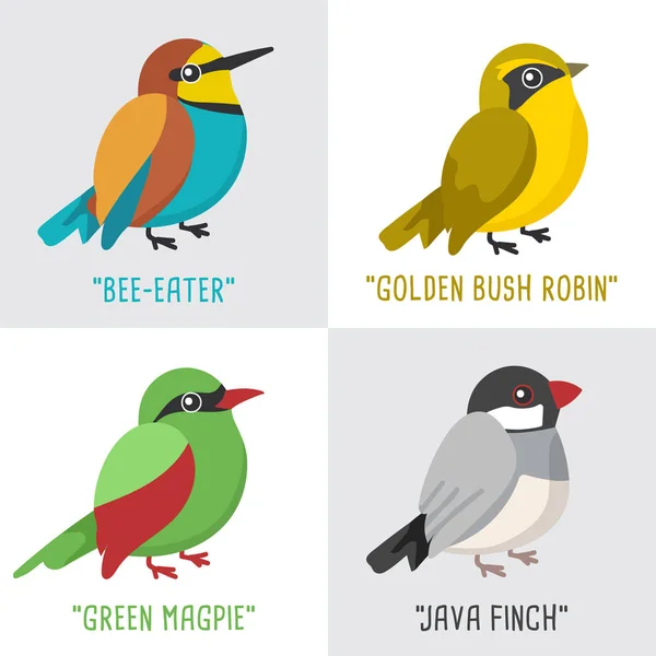 Різні Типи Колекції Птахів Ізольовані Білому Тлі Векторна Ілюстрація — стоковий вектор