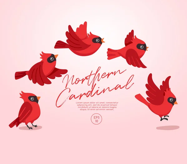 Vliegende Vogels Collectie Geïsoleerd Pastelachtergrond Vector Illustratie — Stockvector