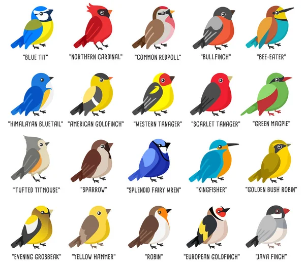 Beyaz Arkaplanda Izole Edilmiş Farklı Tür Kuş Koleksiyonu Vektör Llüstrasyonu — Stok Vektör