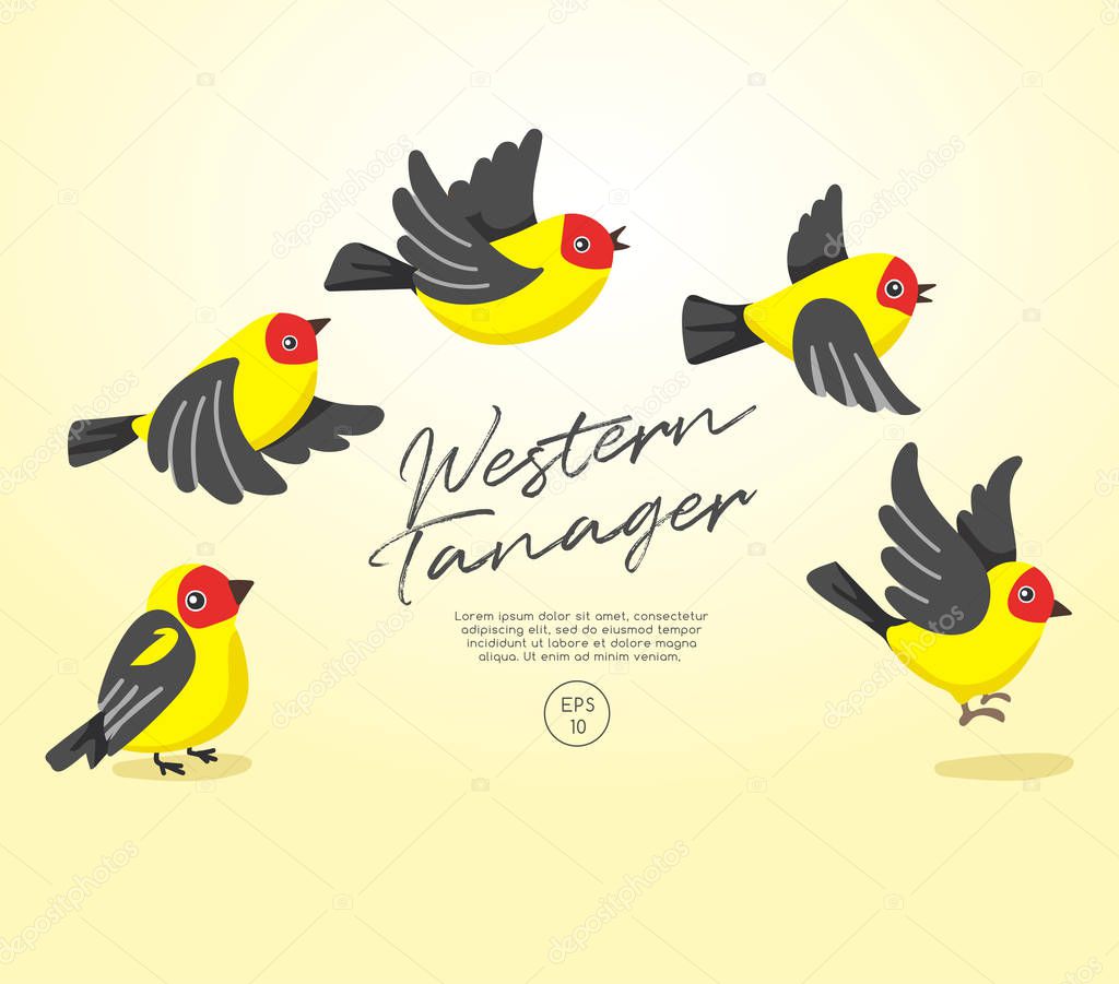 Flying birds collection isolated on pastel background : Vector Illustration