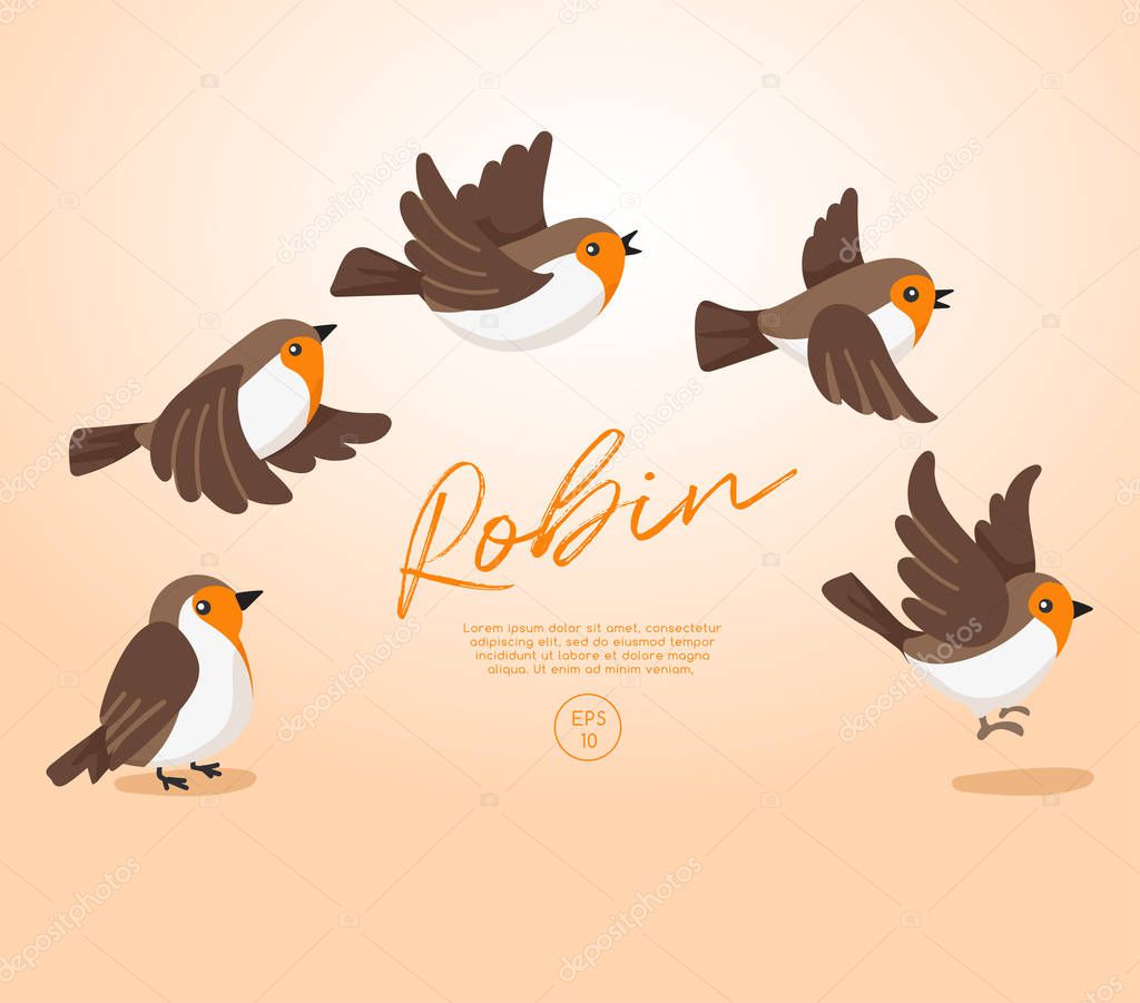 Flying birds collection isolated on pastel background : Vector Illustration