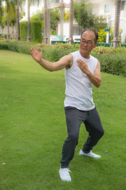 Asya komuta sizde beyaz gömlek stand giymek ve tai chi parkta çim uygulama