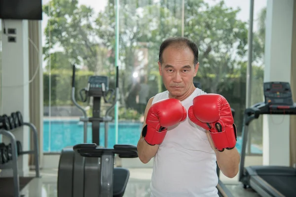 Viejo con guantes de boxeo rojos ejercitándose en el gimnasio y mirar a la cámara, listo para la lucha, espacio de copia para el texto —  Fotos de Stock