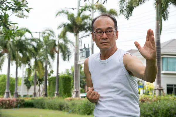 Asya komuta sizde beyaz gömlek stand giymek ve tai chi park ve kopya uzayda çimenlerin üzerinde uygulama — Stok fotoğraf