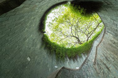 Fort Canning Park, Singapur tünelde yeraltı geçiş büyük yeşil ağaç ve spiral merdiven. Singapur seyahat için dönüm noktası.