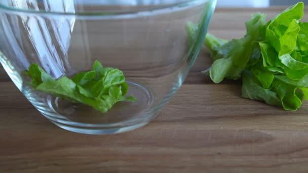 Closeup of falling  green llettuce on glass bowl — Stock Video