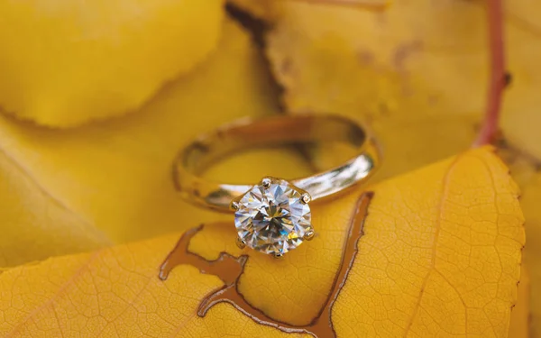 Diamond Ring on Autumn Leaves