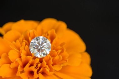 Turuncu Çiçekte Elmas