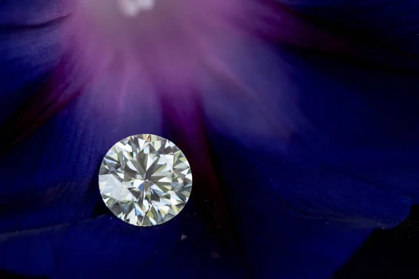 Diamant Und Blütenblatt Hintergrund — Stockfoto