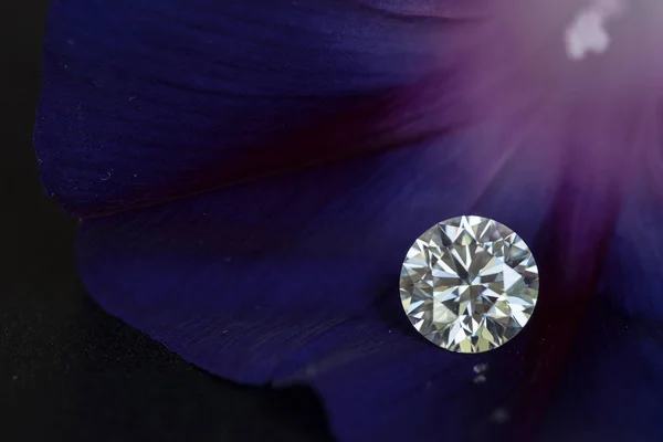 Diamant Brillant Luxe Sur Pétale Fleur Pourpre — Photo