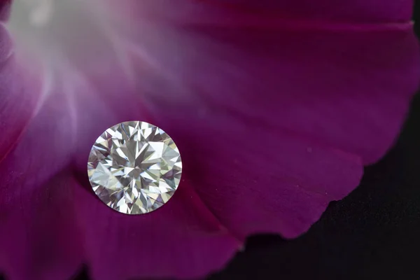 Round Cut Diamond on Purple Petal