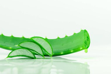 Aloe Vera Beyaz Arkaplanda