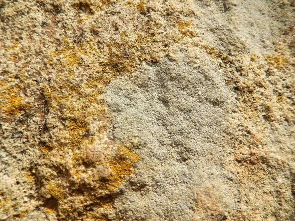 Surface of an ancient megalith - a dolmen "Lunar", the "female" dolmen or a dolmen Inf located on the mountain Neksis (Russia, near the city of Gelendzhik). — Stock Photo, Image