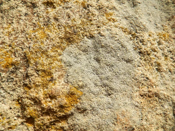 Oberfläche eines alten Megalith - ein Dolmen "Mond", der "weibliche" Dolmen oder ein Dolmen inf befindet sich auf dem Berg Neksis (Russland, in der Nähe der Stadt Gelendzhik). Stockfoto