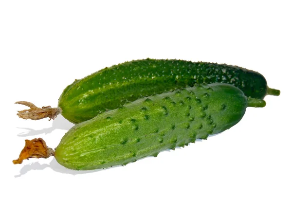 Frische Gurken aus dem Beet auf weißem Hintergrund in Nahaufnahme. — Stockfoto