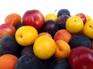 Kayısı ve çok renkli Erik beyaz arka planda, makro (yalıtılmış görüntü).