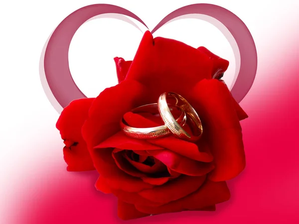 Wedding rings on a red rose against the background of heart. — Stock Photo, Image