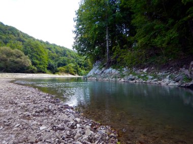 Dağ Shapsukho Nehri (Rusya, Caucasus, Tuapsinsky bölgesinde, Lermontovo ve Dzhubga köyleri).
