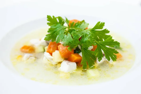Caldo sopa de pescado —  Fotos de Stock