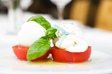 Mozarella cheese with tomatoes served on a plate