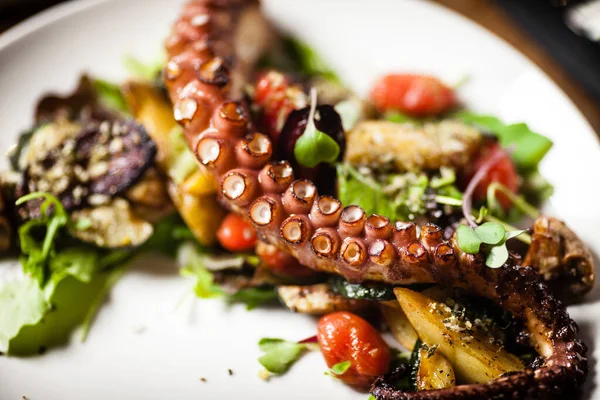 Salade de poulpe chaude avec légumes frits et sauce aji dans une assiette blanche. Délicieux poisson et fruits de mer méditerranéens traditionnels servis sur une table pour le déjeuner . — Photo