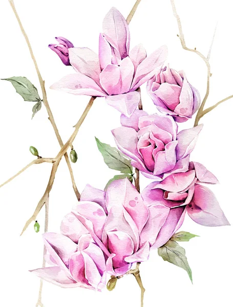 Illustration Aquarelle Magnolia Peint Main — Photo