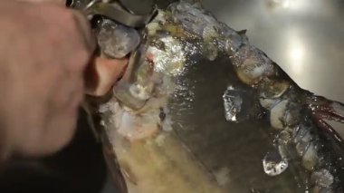 Balıkları soyan kadına yaklaş.