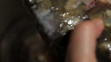 Kadın kuyruklarını ve yüzgeçlerini düzeltin.