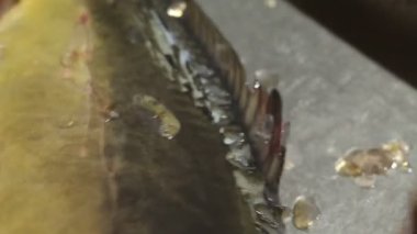 Balıkları soyan kadına yaklaş.