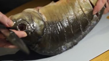 Kadınlara yaklaşmak balıkları korkutur.