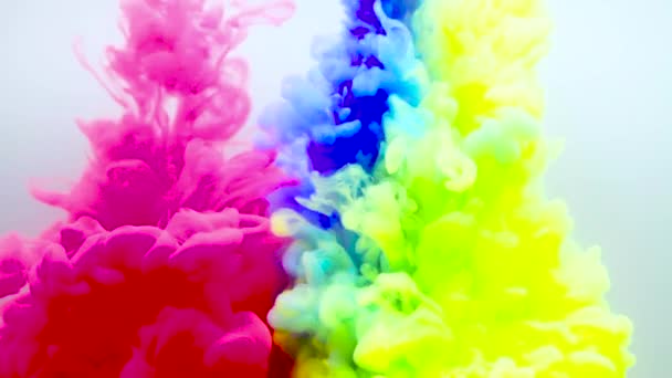 Inkt Water Geïsoleerd Witte Achtergrond Regenboog Van Kleuren Acrylverf Kleuren — Stockvideo