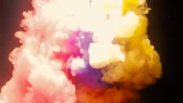 Tinte Wasser Isoliert Auf Weißem Hintergrund Regenbogen Der Farben Acrylfarben — Stockvideo