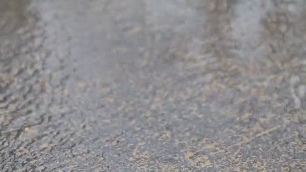 夏の雨の間に雨が降る ブラウンの自然を背景に 近いショット 手持ちのビデオ 自然景観 街の通りで雨 — ストック動画