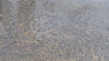 Yazın yağmur suları dalgalanır. Kahverengi arka plan, yakın çekim. El yapımı video, doğa manzarası. Şehir caddesinde yağmur