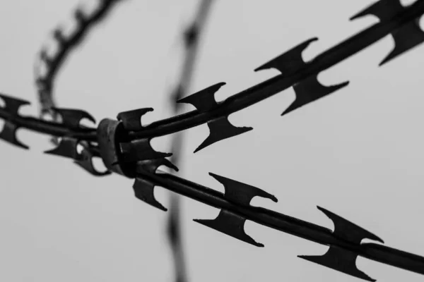 Černobílý Snímek Detailu Ostnatého Drátu Ocelová Hranice Vězeňský Vojenský Nebo — Stock fotografie