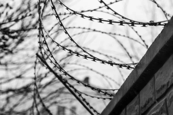 Monochromes Foto Eines Details Von Stacheldraht Stahlgrenze Gefängnis Militär Oder — Stockfoto