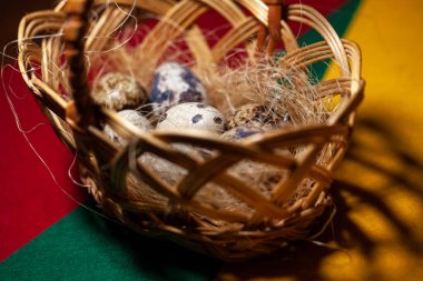 Hasır sepette taze organik bıldırcın yumurtası. Diyet ürünü. Organik yiyecekler. Ev yapımı bıldırcın yumurtaları yakın plan. Paskalya. Protein ve Sağlıklı Beslenme.