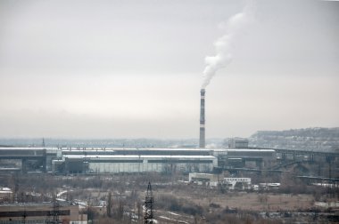 bitki konsantre, bulamaç gölet