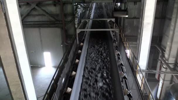 Conveyor belt run — Stock Video