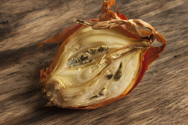 Half of the spoiled onion on the  board