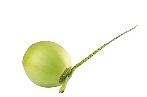 Fruta de coco foto isolada no fundo branco — Fotografia de Stock