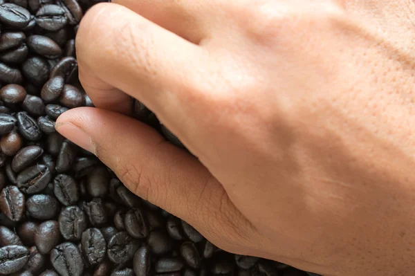 Fresh roasted coffee beans pouring out of cupped hands. — Stock Photo, Image