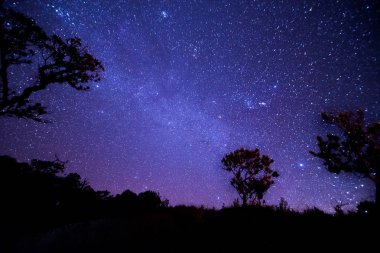 Gece manzarası ile renkli Samanyolu.