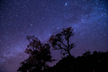 Gece manzarası ile renkli Samanyolu.