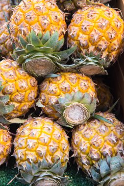 ananas ayrı tut moduyla fotoğraf