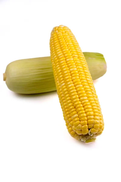 Corn isolare foto su sfondo bianco . — Foto Stock